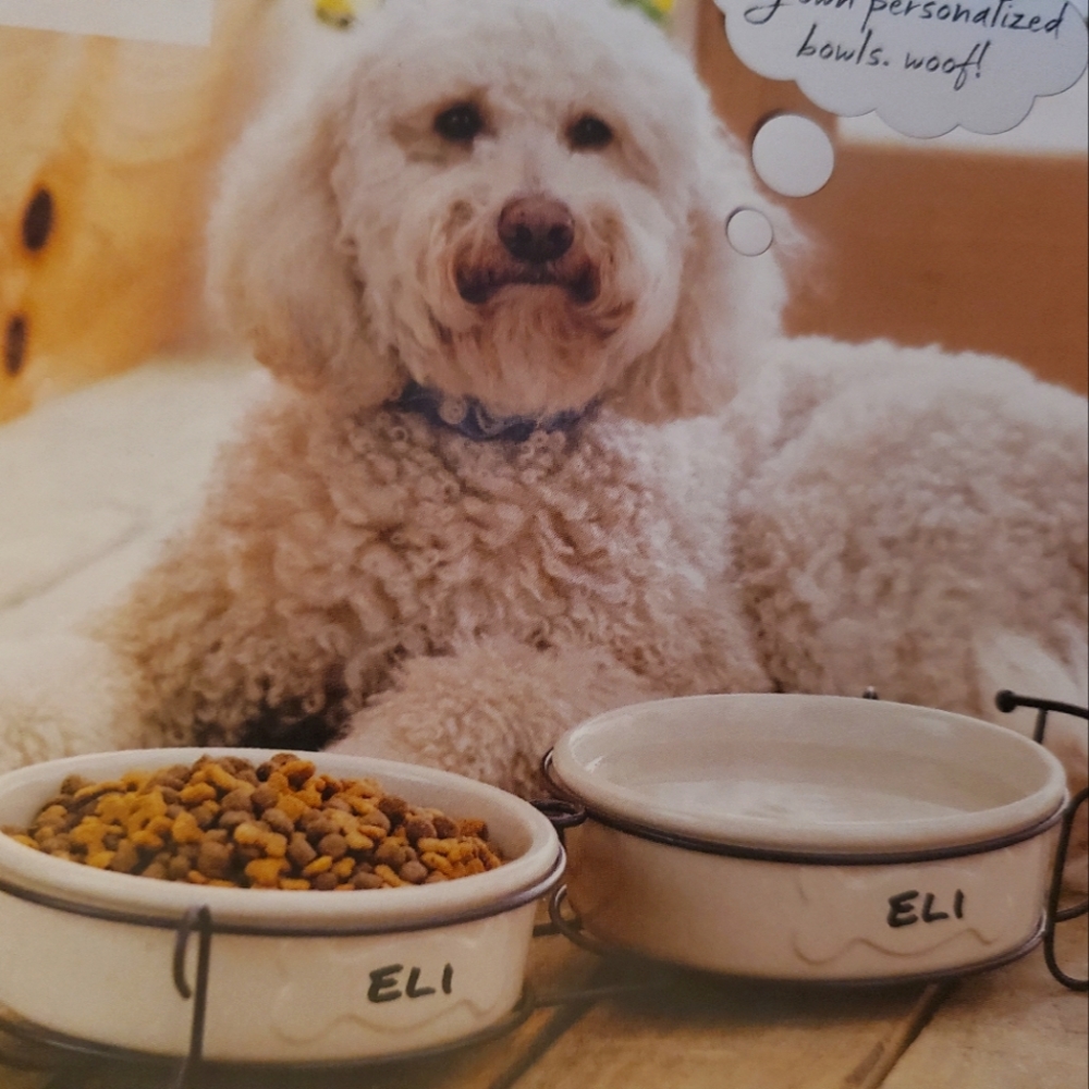 Large pet Bowl holds 9 cups , Stoneware New. Write your pets name on the bone
